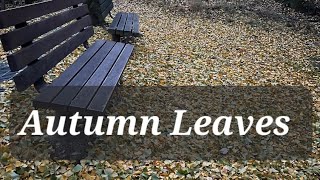 Autumn Leaves  Cover by 맘존 [upl. by Agathe]