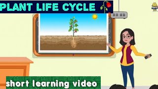 plant life cycle 🥀 learning video for kidsMarvelousvibes290 [upl. by Aneeuqal200]