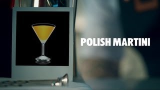 POLISH MARTINI DRINK RECIPE  HOW TO MIX [upl. by Eelarak]