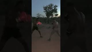 simple boxing sparring with the beast sports boxer sparring fighting whowon [upl. by Babb]