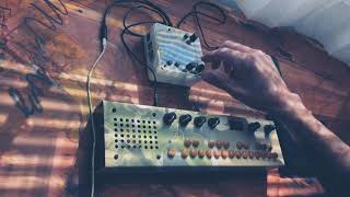 Monome Norns Shield  mlr  Critter amp Guitari Organelle M  ambient jam [upl. by Kendry841]