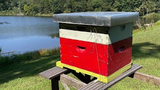 Update of the dam hive and double medium hive [upl. by Pauletta9]