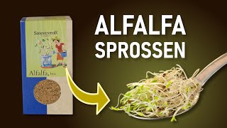 Alfalfasprossen ziehen – Anleitung Alfalfasprossen im Keimglas selbst ziehen [upl. by Eihtur]