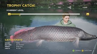 560lb Cobra Trophy Catch  Gillhams Fishing Resort  Fishing Sim World Pro Tour [upl. by Yolane]