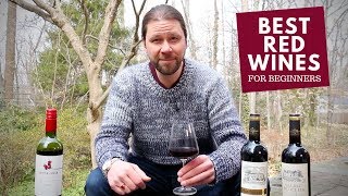 The Best Red Wines For Beginners Series 6 Malbec [upl. by Hoehne621]