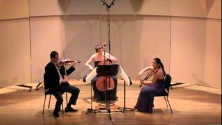 Schubert String Trio in BFlat D 471 members of the Kontras Quartet [upl. by Sabrina]