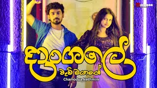 Dangaleදාංගලේ  Chamodya Nethmini  New Song  Sinhala Song  Music Video [upl. by Neidhardt726]