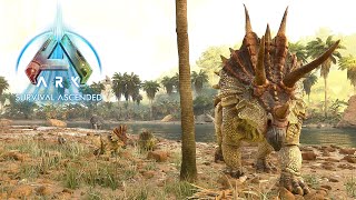 Testing my Breeding Settings  Ark Survival Ascended Episode 2 [upl. by Dimond882]