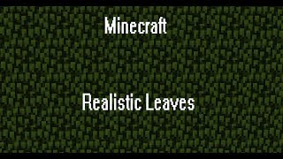 Minecraft  Realistic Leaves [upl. by Aicnerolf]