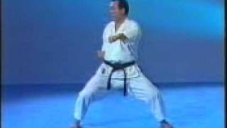 Shotokan Kata  Tekki Shodan [upl. by Ahsiak]