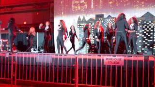 2016 Delta Sigma Theta HK Homecoming Step Show [upl. by Nabois]