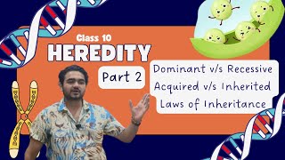 Class X Heredity Part 2 Traits and Laws of Inheritance [upl. by Yrrek]