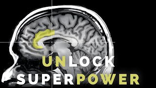 quotUnlocking Discipline How the Anterior MidCingulate Cortex Drives Success and Wealthquot [upl. by Helmer]