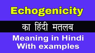 Echogenicity Meaning in HindiEchogenicity का अर्थ या मतलब क्या होता है [upl. by Giulietta348]