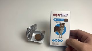 Bravecto dog  Bravecto Hund  Bravecto® Kautablette für Hunde [upl. by Iaht]