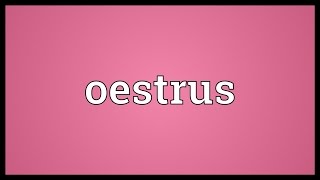 Oestrus Meaning [upl. by Rebme865]