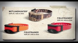 SportDOG Brand FieldTrainer 425XSportHunter 825X AddADog Collar  Blains Farm amp Fleet [upl. by Winfield]