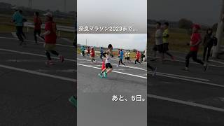 奈良マラソン2023まで残り5日。3年連続入賞なるか！？ 走る鍼灸師 奈良マラソン マラソンランナー [upl. by Aisorbma]