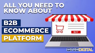 What is B2B eCommerce PlatformCustomer Portal [upl. by Tessie]