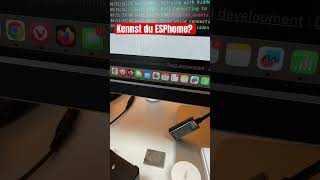 ESPhome debugger über USB serial geht einfach [upl. by Aniloj]