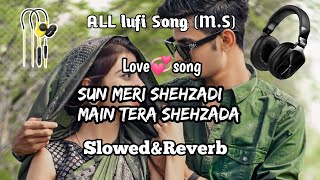 lufisong sun meri shehzadi main tera shehzada SlowedampReverb Song Hindi songs [upl. by Ahsietal63]