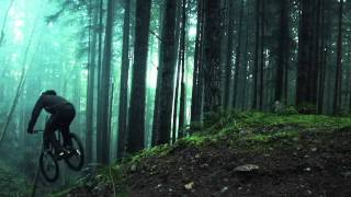 Amazing Freeride Forest [upl. by Sachsse716]