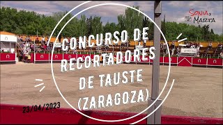 CONCURSO DE RECORTADORES DE TAUSTE ZARAGOZA [upl. by Aenahs]