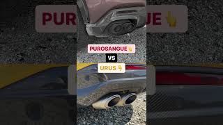 SOUNDCHECK FERRARI PUROSANGUE VS LAMBORGHINI URUS [upl. by Narah348]