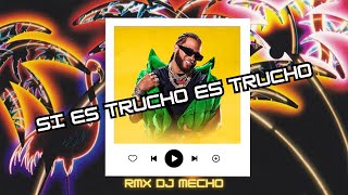 Si es Trucho👽 Es Trucho Rmx Aleteo  El Alfa Ft Dj Mecho [upl. by Aral753]