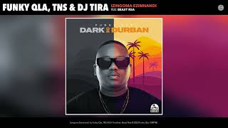 Funky Qla TNS amp DJ Tira  Izingoma Ezimnandi Official Audio [upl. by Atteram]