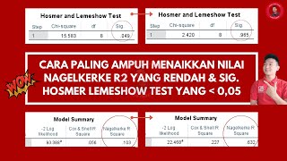 Cara paling ampuh menaikkan nilai Nagelkerke R Square dan Hosmer Lemeshow test data sekunder Part 1 [upl. by Durrej]