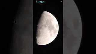 Half Moon  Todays Moon  10Nov24 shorts ReyuzWorld [upl. by Hankins820]