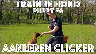 TRAIN JE HOND  Puppy 6  Hoe leer je je puppy DE CLICKER [upl. by Hernandez]