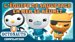 Octonauts  🐻‍❄️😼🐧 Léquipe de sauvetage en mer se réunit  🌊  Compilation [upl. by Bidle]