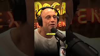 The Joe Rogan experience podcast joerogan [upl. by Hako432]