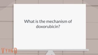 What is the mechanism of doxorubicin [upl. by Michel]