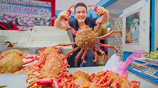 Morocco Street Food 🇲🇦 SPIDER CRAB  Best Moroccan Food in Casablanca [upl. by Ecnarrat]