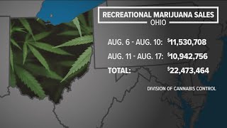 Two weeks of high sales show recreational marijuana is a hit with Ohioans [upl. by Eelanej]