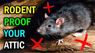 8 Proven Methods To Get Rid of Rodents in the Attic [upl. by Adaiha]