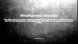 Medical vocabulary What does Alcaligenes faecalis mean [upl. by Bohrer]