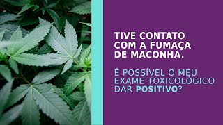 Tive contato com a fumaça de maconha É possível o meu exame toxicológico dar positivo [upl. by Nuajed]