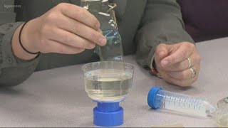 Portland company creates dissolvable plastic [upl. by Gristede494]