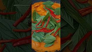 Chicken Thai Red Curry  Panang Curry Recipe with Coconut Milk Chicken Curry Recipe  Thai Food [upl. by Ennayr452]