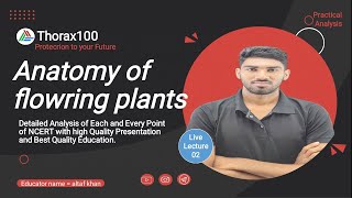 Anatomy of flowering plants Lecture 02 for Class 11 amp NEET Thorax100 [upl. by Gannes]