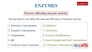 Which Factors affecting enzyme activity [upl. by Namialus]