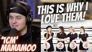 Music Producer REACTS to MAMAMOO 1CM Taller Than You MV  마마무 1cm의 자존심  Reaction  Yong [upl. by Kerwin]