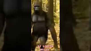 DJ PATALATHO VALALO SONG GORILLA 🦍 DANCEgorilla gorillatag [upl. by Airamesor]