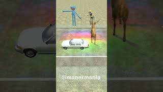 animal crossing the road challenged 길건너친구들 zoonomaly accident crossing animal 동물 friend [upl. by Ayra488]