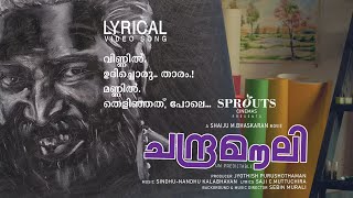 Vinnil Udhichoru Tharam Lyrics in Malayalam വിണ്ണിൽ ഉദിച്ചൊരു താരം  Gayathry Rajiv [upl. by Arhas199]