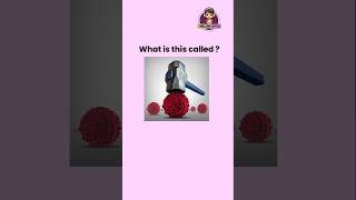 Can you guess these vocabulary  english learnenglish dailyenglish [upl. by Yemane]